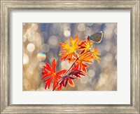 September Moments Fine Art Print