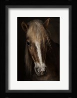 Sapience Fine Art Print