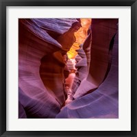 Fire In Canyon Fine Art Print