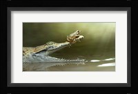 I Will Survive Fine Art Print