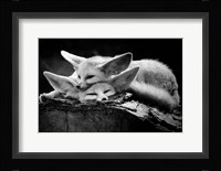 The Happy Couple Fine Art Print