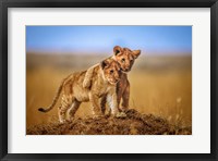 Brothers For Life Fine Art Print