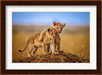 Brothers For Life Fine Art Print