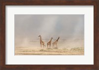 Weathering The Amboseli Dust Devils Fine Art Print