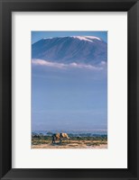 Kilimanjaro And The Quiet Sentinels Fine Art Print