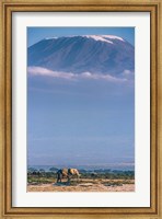 Kilimanjaro And The Quiet Sentinels Fine Art Print