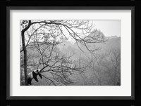 Relax Fine Art Print