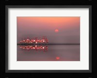 Purple Sunset Fine Art Print