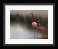 So Zen Fine Art Print