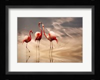 Fighting Fine Art Print