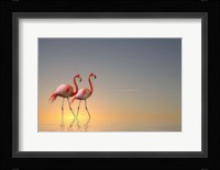 Serenity II Fine Art Print