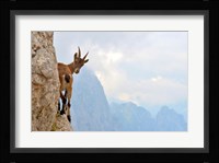 Suspense Fine Art Print