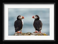 I Love You - I Love You Too Fine Art Print