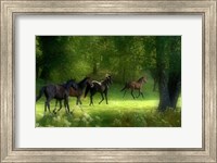 Running Horses Fine Art Print