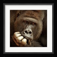 Sense Of Life Fine Art Print