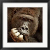 Sense Of Life Fine Art Print