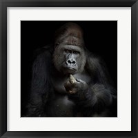 IMHO Fine Art Print