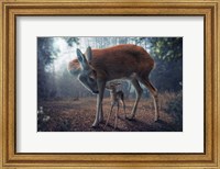 Mother And Fawn Fine Art Print