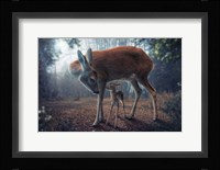 Mother And Fawn Fine Art Print