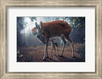 Mother And Fawn Fine Art Print
