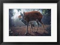 Mother And Fawn Fine Art Print