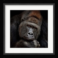 One Moment in Contact Fine Art Print