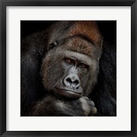 One Moment in Contact Fine Art Print