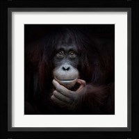 The Mirror Image Fine Art Print