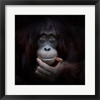 The Mirror Image Fine Art Print