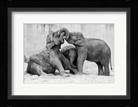 Manage A Trois Fine Art Print