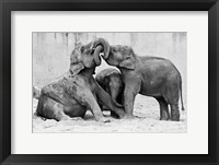 Manage A Trois Fine Art Print