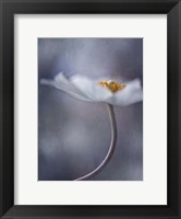 The Beauty Within Fine Art Print