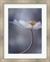 The Beauty Within Fine Art Print