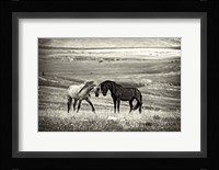 Close Encounter Fine Art Print