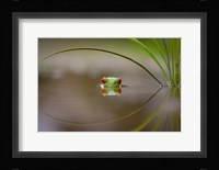 Beauty Of Reflection Fine Art Print