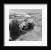 Bubbles Fine Art Print