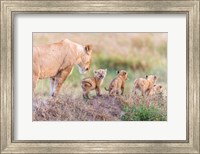 Let's Go Mom Fine Art Print