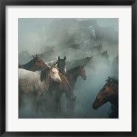 Lost Horses Fine Art Print