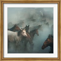 Lost Horses Fine Art Print