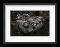 Red Forest Fine Art Print