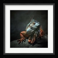 I Am The King, Who Else! Fine Art Print