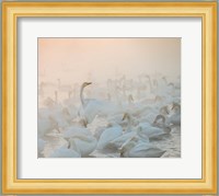 Song Of The Morning Light Fine Art Print