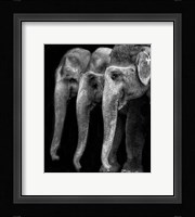Nature's Great Masterpiece, An Elephant Fine Art Print