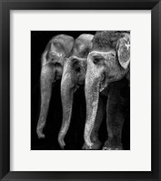 Nature's Great Masterpiece, An Elephant Fine Art Print