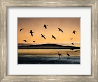 Fly-In At Sunset Fine Art Print