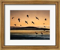 Fly-In At Sunset Fine Art Print