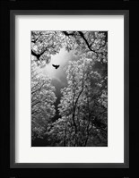 Flight Fine Art Print