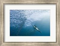 Hunter And The Hunted Fine Art Print