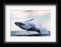 Breach Fine Art Print