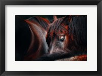 Sleep Huddle Fine Art Print